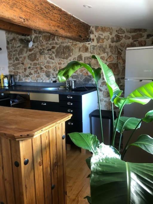 Le Loft Cosy - Centre Ville - Cadre Royal Sete Exterior photo