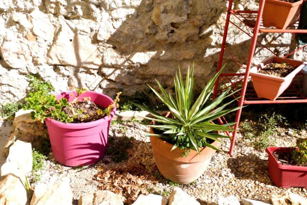 Le Loft Cosy - Centre Ville - Cadre Royal Sete Exterior photo